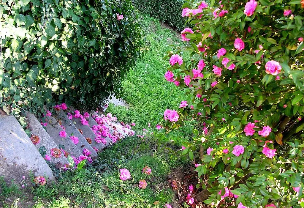 Guest House Cascina Belsito-1
